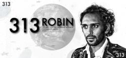 313 ROBIN